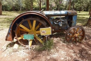 Nairobi: Guidad tur på Karen Blixen-museet med hämtning