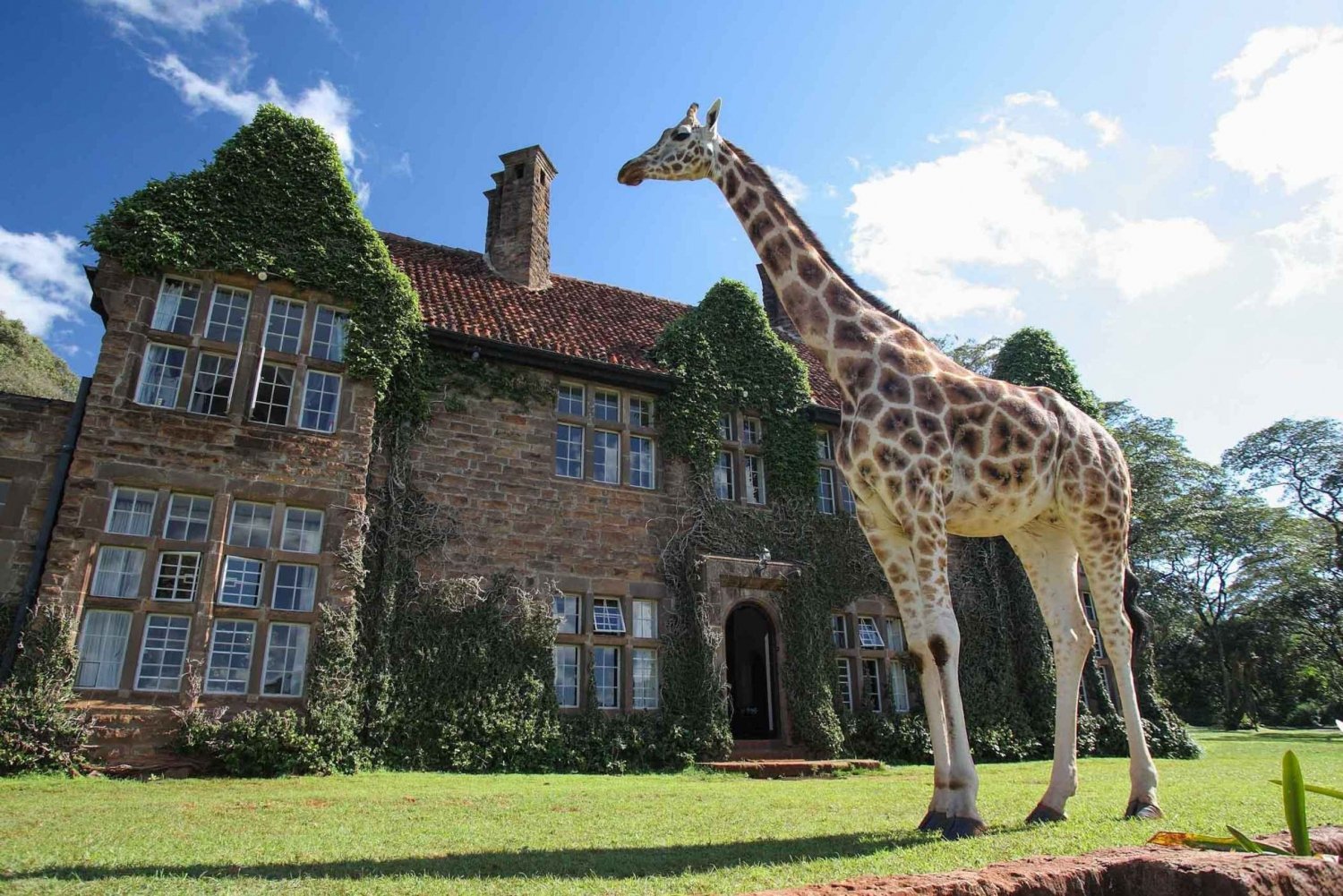 Muzeum Karen Blixen, koraliki Kobe i centrum żyraf