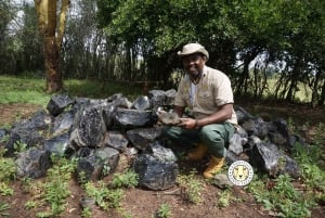 Nairobi: Kariandusi & Hyrax Hill Prehistoric Day Tour