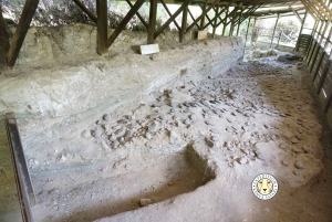 Nairobi: Kariandusi & Hyrax Hill Prehistoric Day Tour