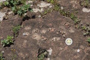 Nairobi: Kariandusi & Hyrax Hill Prehistoric Day Tour