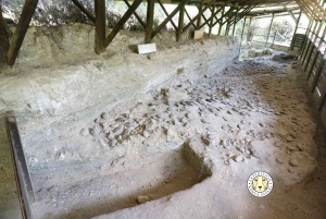 Nairobi: Kariandusi & Hyrax Hill Prehistoric Day Tour