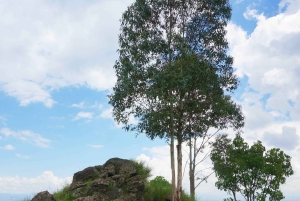 Nairobi: Kariandusi & Hyrax Hill Prehistoric Day Tour