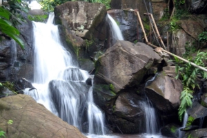 Nairobi: Karura and Oloolua Forests Guided Day Tour