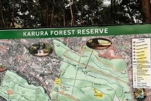 Nairobi: Karura and Oloolua Forests Guided Day Tour