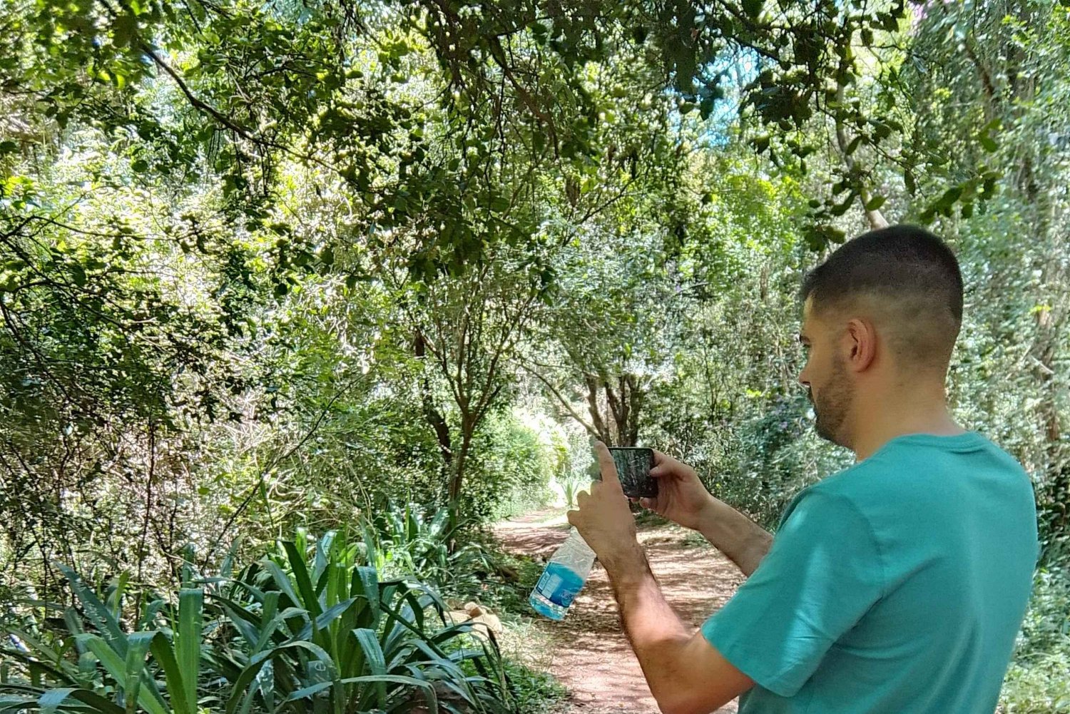 Nairobi: Karura Forest Guided Walking Tour