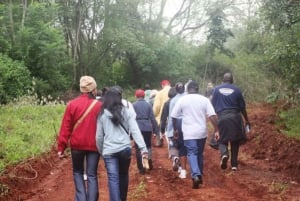Nairobi: From Nairobi-Karura Forest Guided Walking Tour