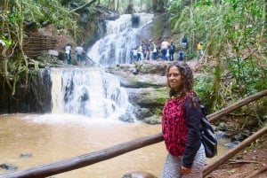 Nairobi: From Nairobi-Karura Forest Guided Walking Tour