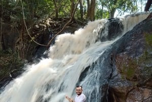 Nairobi: Karura Forest Guided Walking Tour