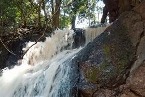 Nairobi: Karura Forest Guided Walking Tour