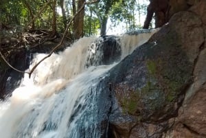 Nairobi: Karura Forest Guided Walking Tour