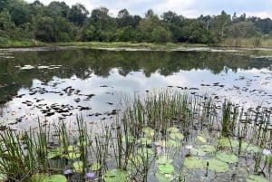 Nairobi: Karura Forest Guided Walking Tour