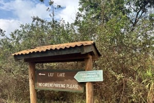 Nairobi: Karura Forest Guided Walking Tour