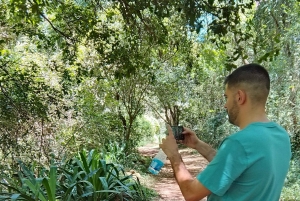 Nairobi: Wycieczka piesza z przewodnikiem po lesie Karura