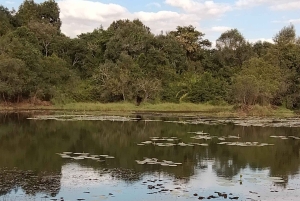 Nairobi: Wycieczka piesza z przewodnikiem po lesie Karura