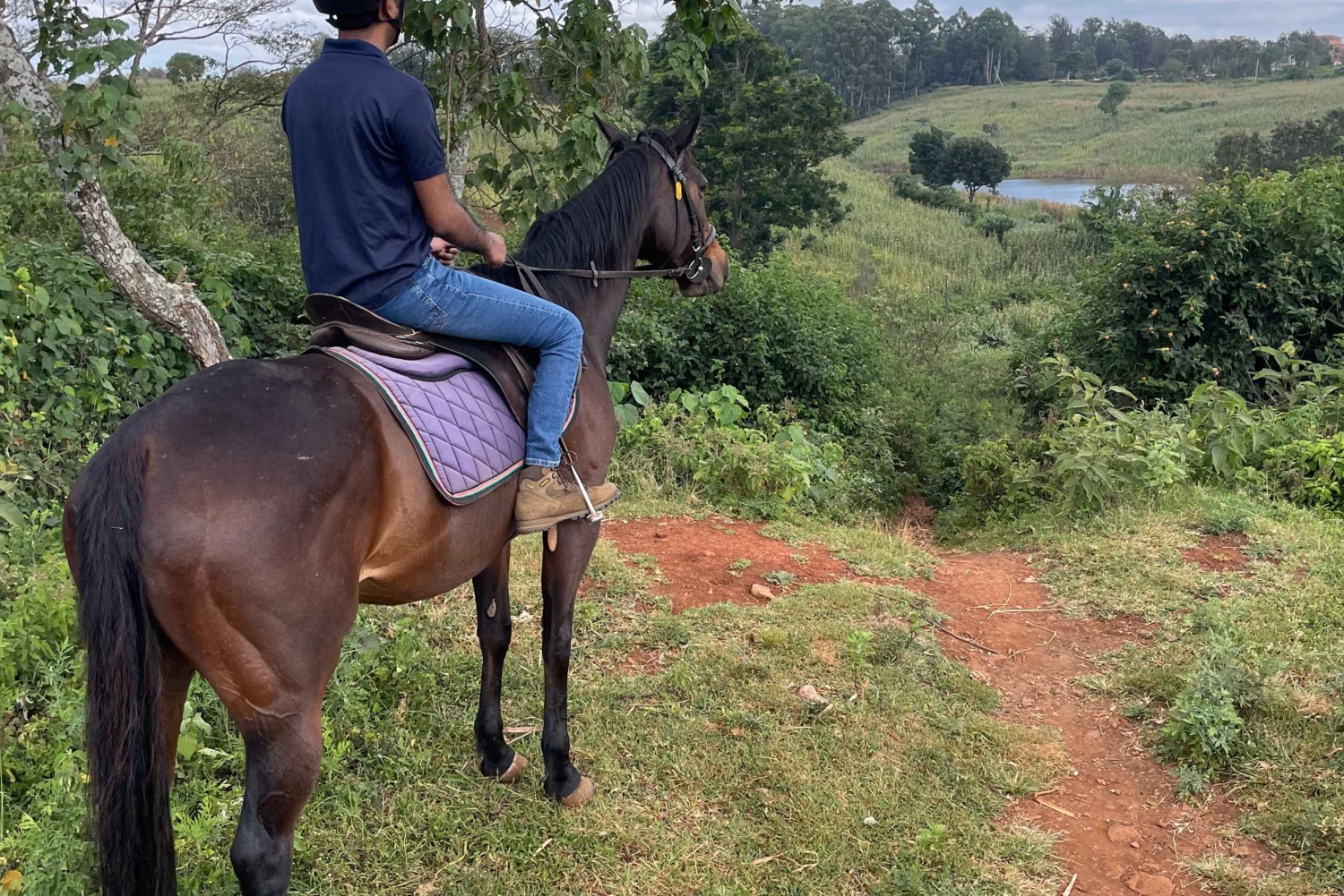 Nairóbi: Passeio a cavalo pela floresta de Karura
