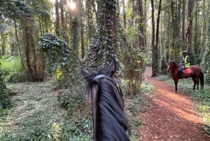 Nairobi: Karura Forest Horseback Riding Tour