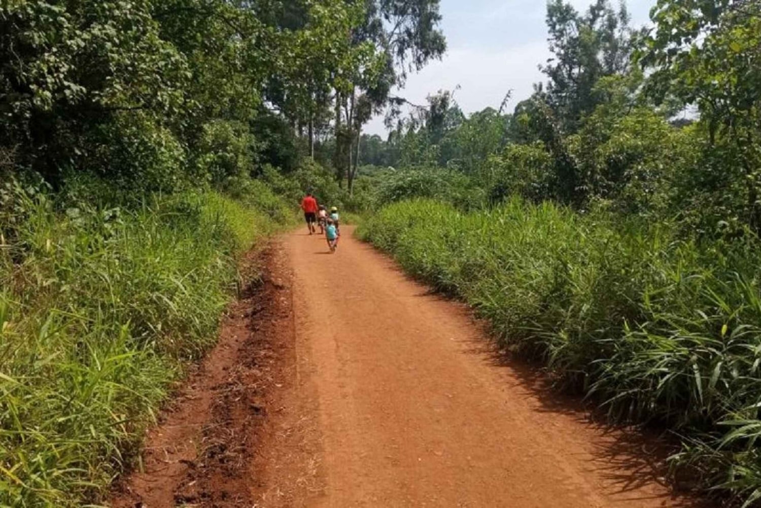 Nairobi: Percorso naturalistico della foresta di Karura ed escursione
