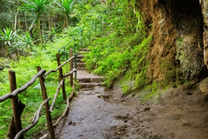 Nairobi: Karura Forest Nature Trail og vandretur