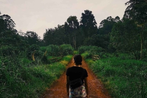 Nairobi: Karura Forest Nature Trail og vandretur