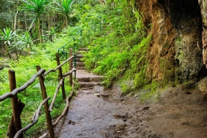 Nairobi: Karura Forest Nature Trail og vandretur