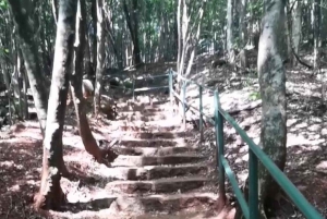 Nairobi: Karura Forest Nature Trail og vandretur