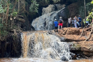 Nairobi: Karura Forest Nature Trail og vandretur