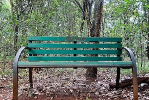 Nairobi: Karura Forest Nature Trail og vandretur