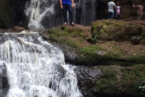 Nairobi: Karura Forest Nature Trail og vandretur