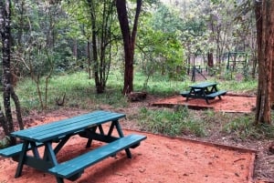 Nairobi: Percorso naturalistico della foresta di Karura ed escursione