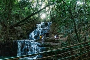 Nairobi: Percorso naturalistico della foresta di Karura ed escursione