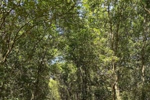 Nairobi: Percorso naturalistico della foresta di Karura ed escursione