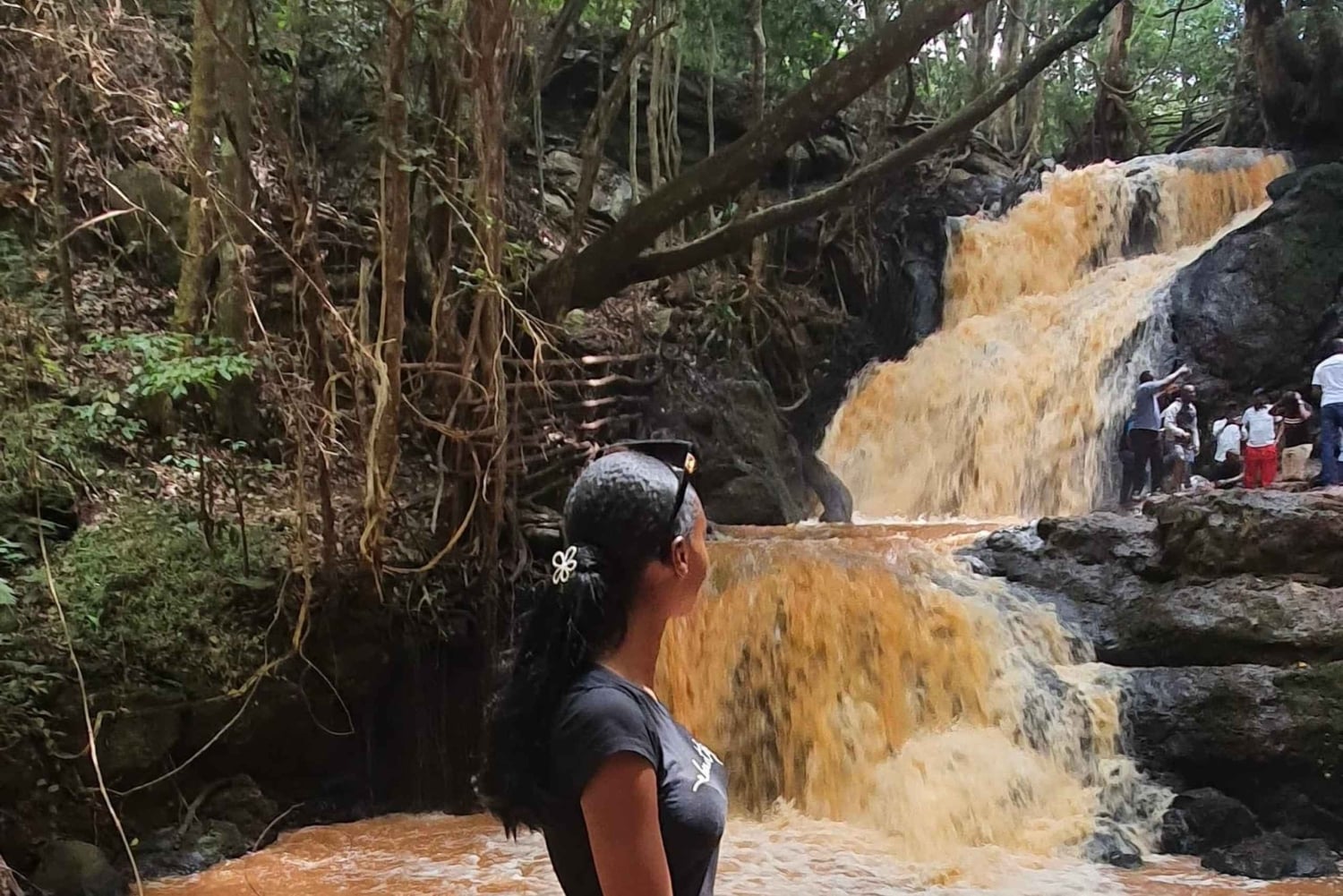 Nairobi: tour della foresta di Karura (in tedesco)