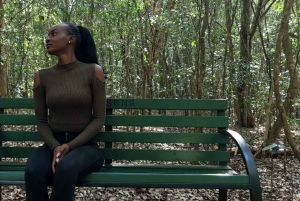 Nairobi: tour della foresta di Karura (in tedesco)