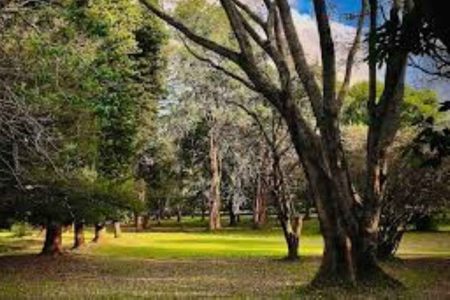 Nairobi: Karura Forest Tour with Picnic Lunch