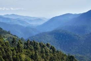 Nairobi: Karura Forest Tour with Picnic Lunch