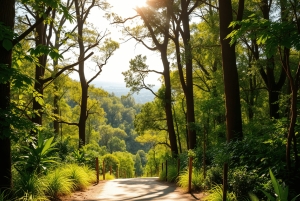 Nairobi: Karura Forest Tour with Picnic Lunch