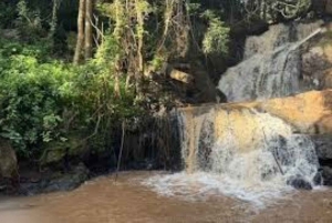 Nairobi: Karura Forest Tour with Picnic Lunch