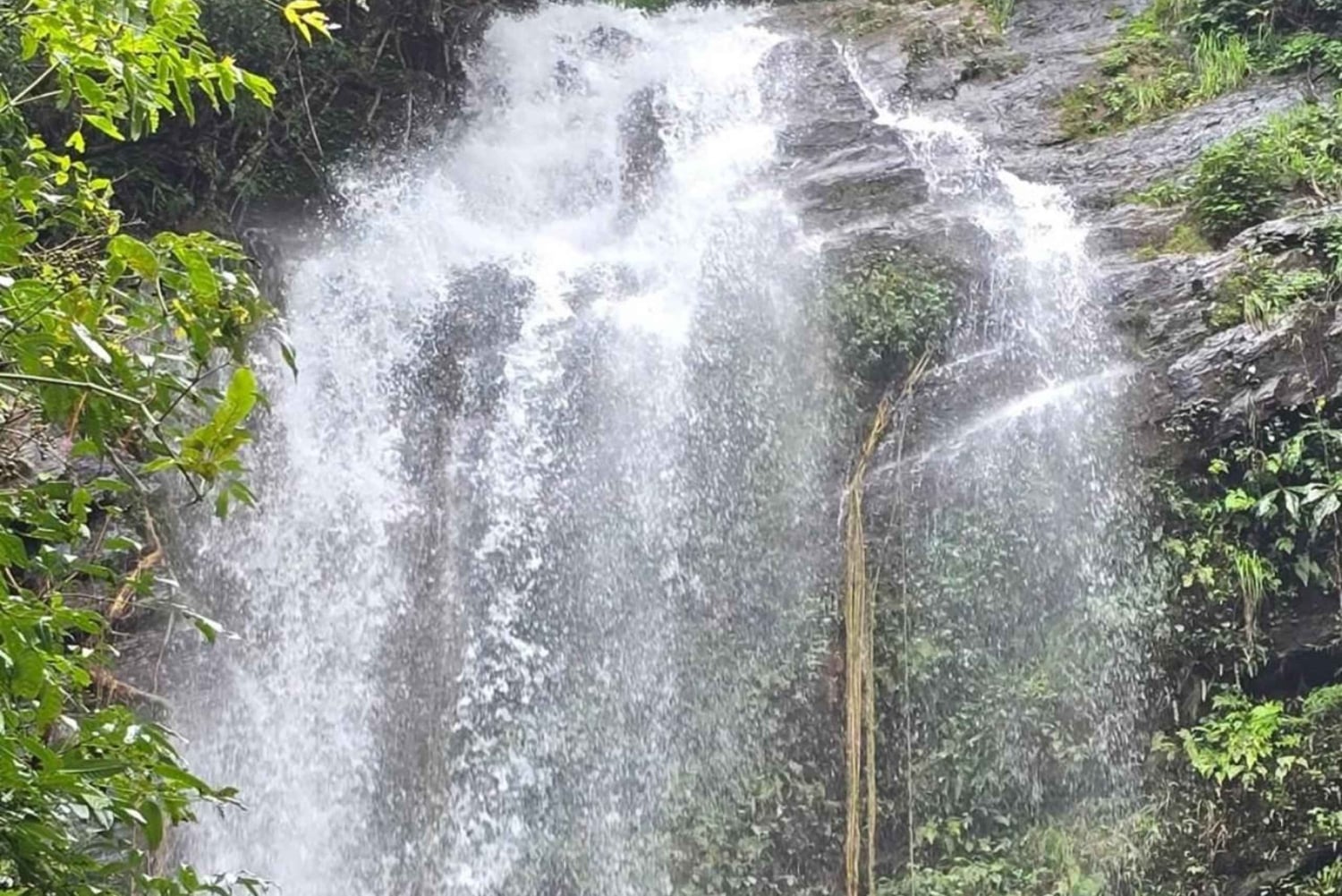 Nairobi: Karura Forest Walk for JKIA Layovers