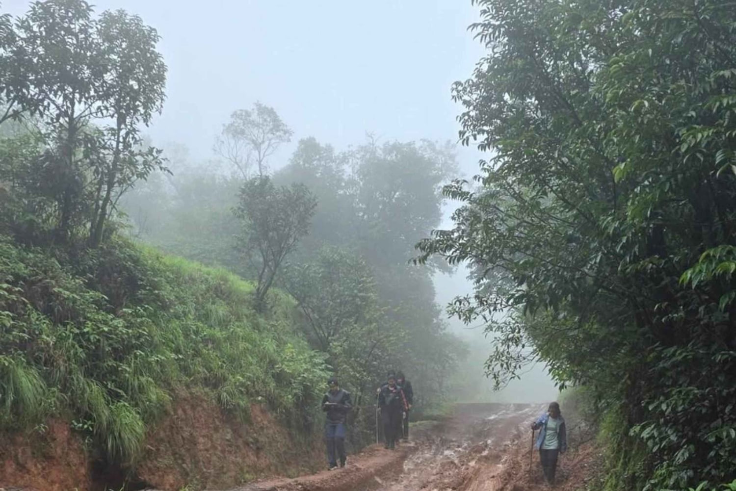 Nairobi: Karura Forest Walk for JKIA Layovers