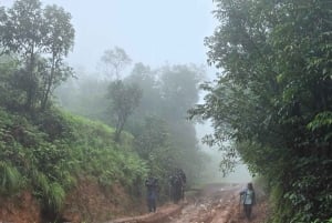 Nairobi: Karura Forest Walk for JKIA Layovers