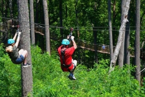 Nairobi: Kereita Forest Zipline and Nature Trails Tour