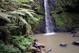 Nairobi: Kereita Forest Zipline and Nature Trails Tour