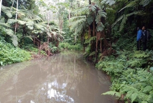 Nairobi: Kereita Forest Zipline and Nature Trails Tour