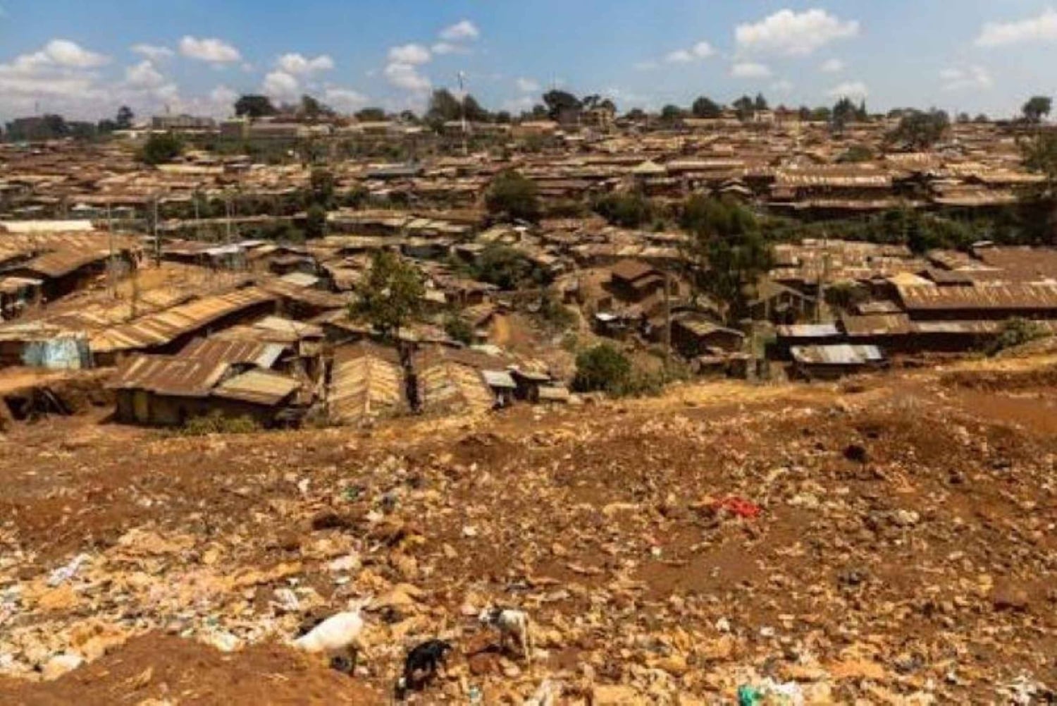 Nairobi: Excursão a pé guiada pela favela de Kibera com serviço de busca no hotel