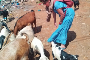 Nairobi: Berättelsetur i Kibera slum med en lokalinvånare