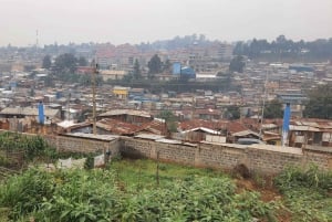 Nairobi: Kibera Street Art Tour mit lokalen Künstlern