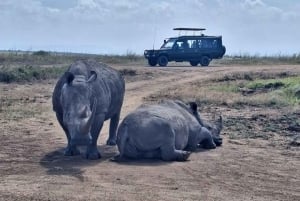 Nairobi: dziecięce safari w Parku Narodowym Nairobi