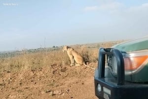 Nairobi: dziecięce safari w Parku Narodowym Nairobi