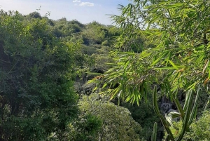 Nairobi: Rundtur i Kitengela Anselm Hot Glass Studio